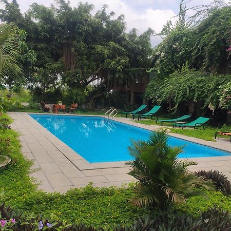 Tuyet'S Homestay Ninh Bình Ngoại thất bức ảnh