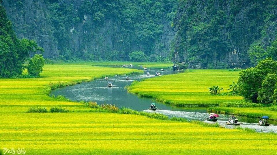 Tuyet'S Homestay Ninh Bình Ngoại thất bức ảnh