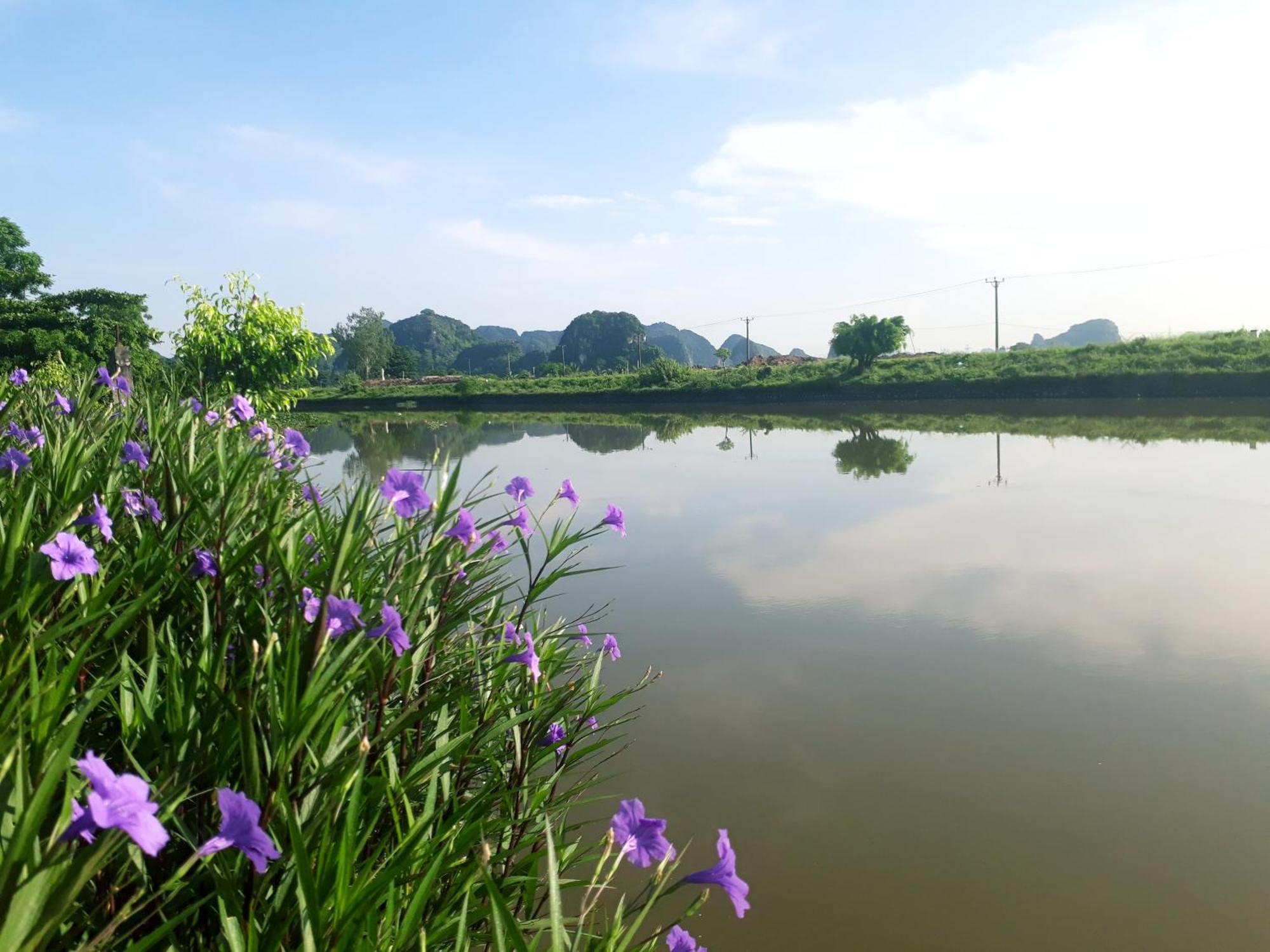 Tuyet'S Homestay Ninh Bình Phòng bức ảnh
