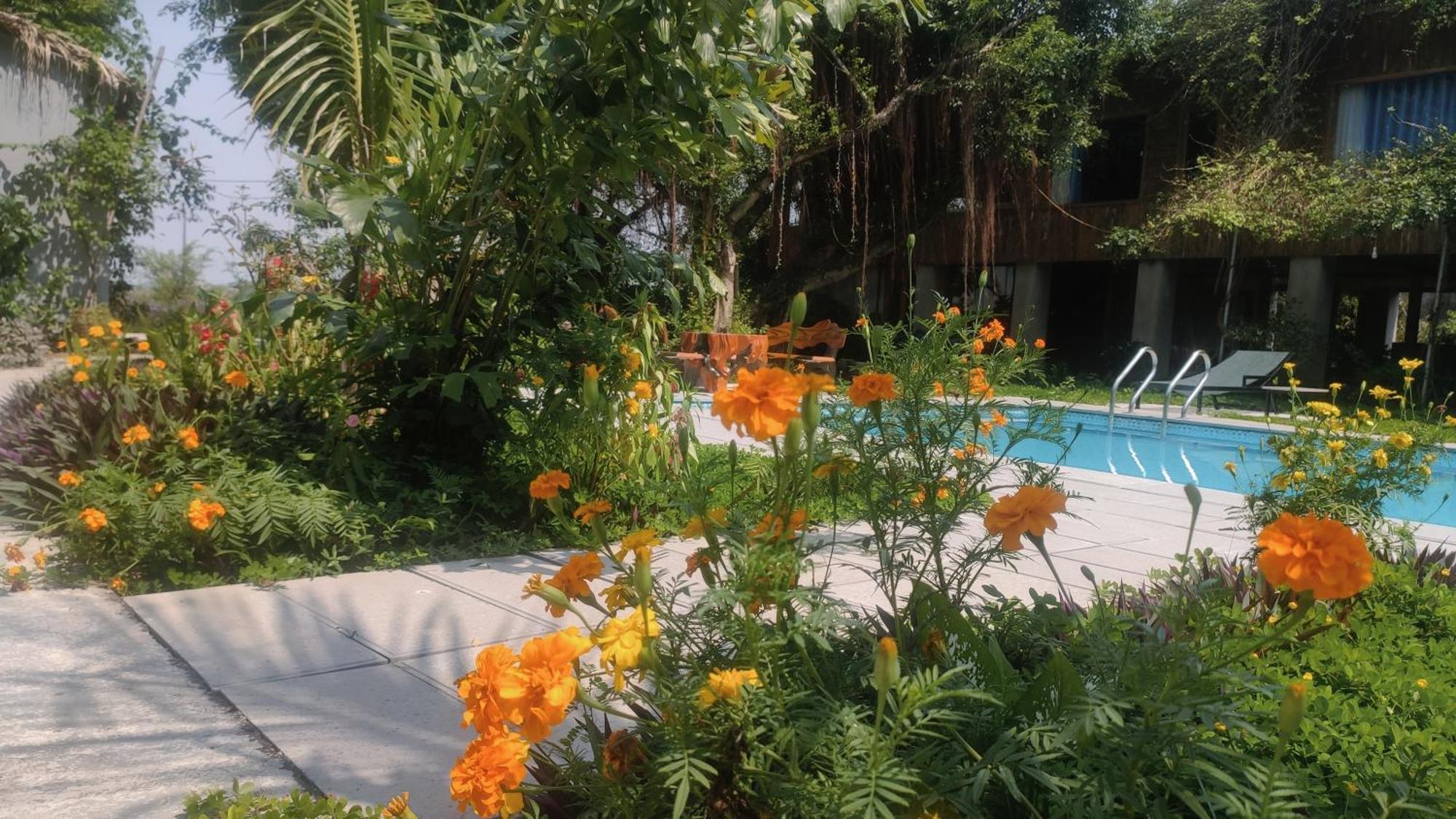 Tuyet'S Homestay Ninh Bình Ngoại thất bức ảnh