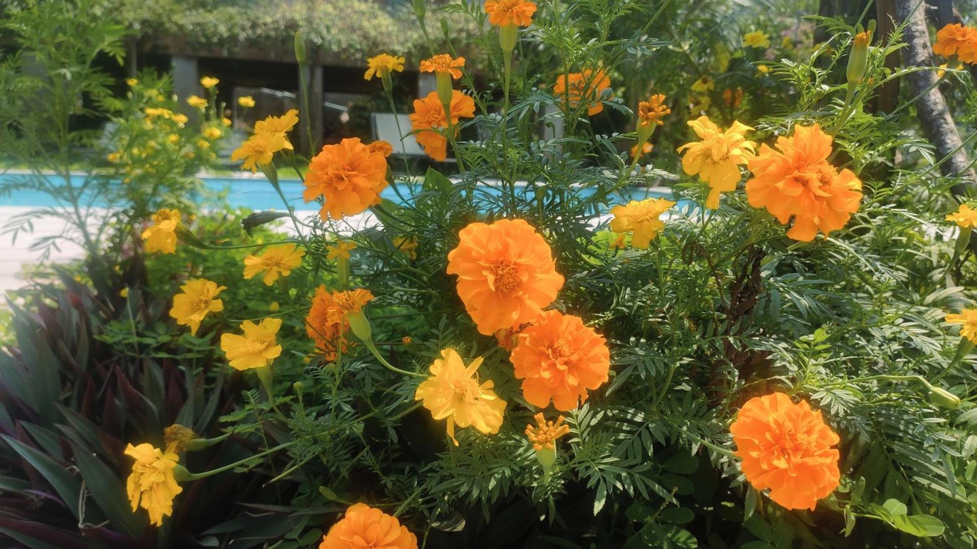 Tuyet'S Homestay Ninh Bình Ngoại thất bức ảnh