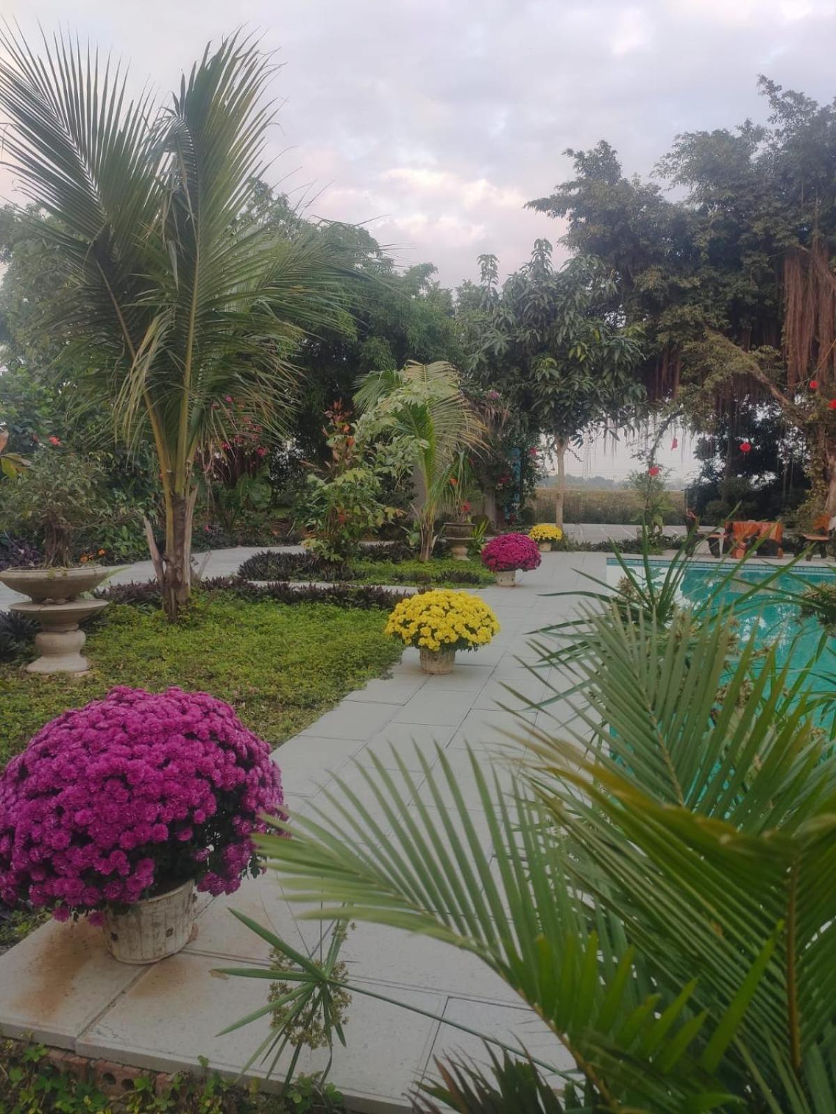 Tuyet'S Homestay Ninh Bình Phòng bức ảnh